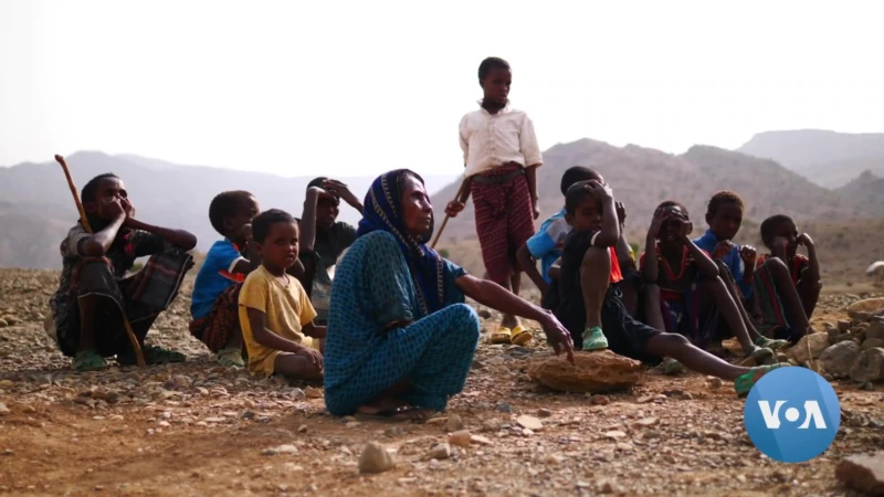 Children Dying in Ethiopia’s Afar Region Amid Drought, Conflict, Residents Say