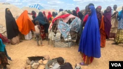 Drought Forcing New Arrivals in Somali Relief Camps to Eat Animal Skins