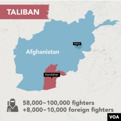 Fears, Uncertainty Torment West With Taliban in Charge of Afghan Security