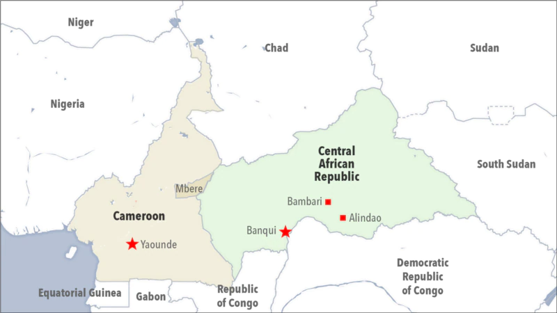 Cameroon, Gabon Demarcate Border to Reduce Poaching in Congo Basin