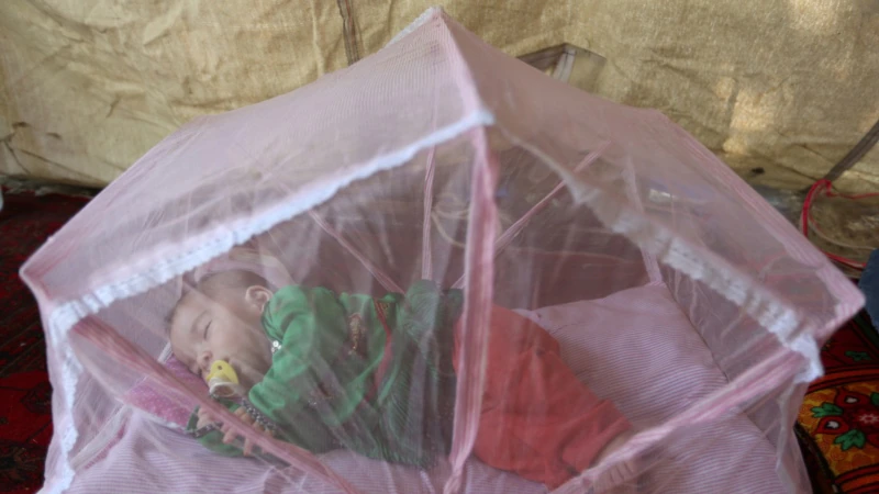 Dengue Fever Outbreak Confirmed in Afghanistan, WHO says