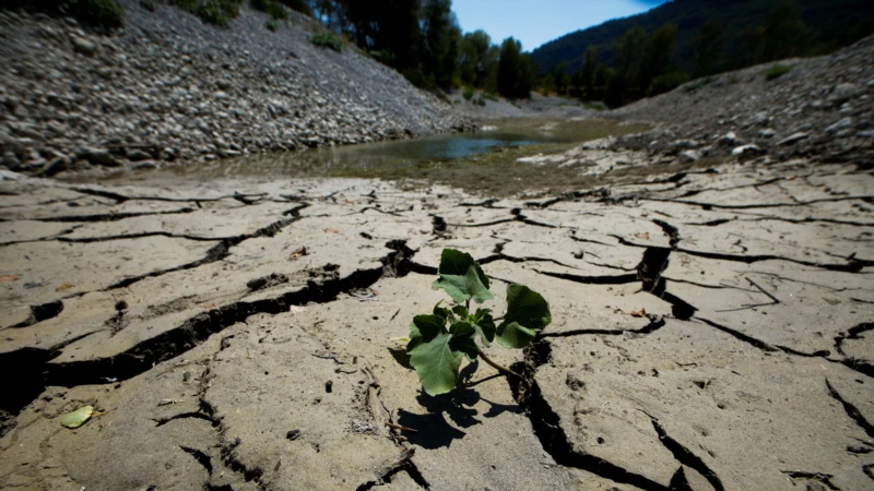 Temperatures Rise as France Tackles Worst Drought on Record