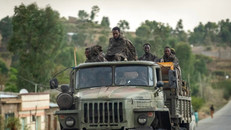 Ethiopia's Military: 800 Al-Shabab Fighters Killed in Recent Clashes