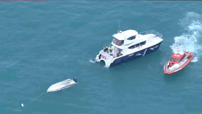 5 Dead in New Zealand After Boat Flips in Possible Whale Collision