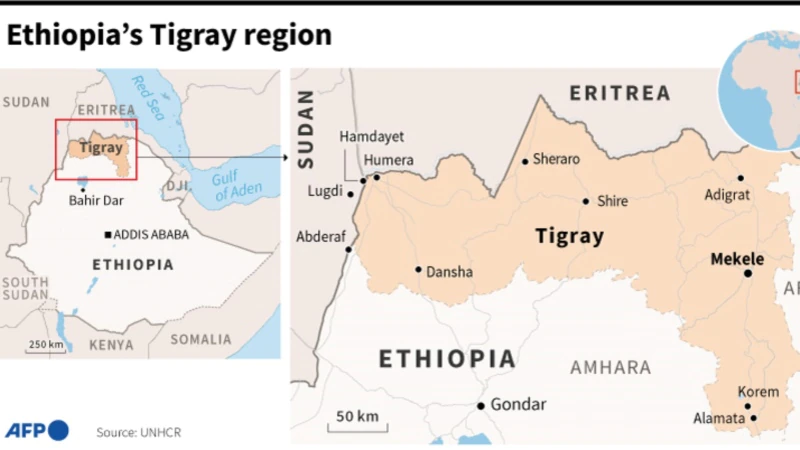 Hospital Official: Airstrike Hits Capital of Ethiopia's Tigray Region