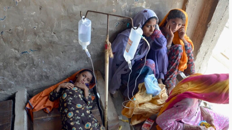 WHO Raises Alarm on Disease in Flood-Hit Areas of Pakistan