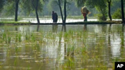 Jolie: ‘Never Seen Anything Like’ Devastation of Pakistan Floods 