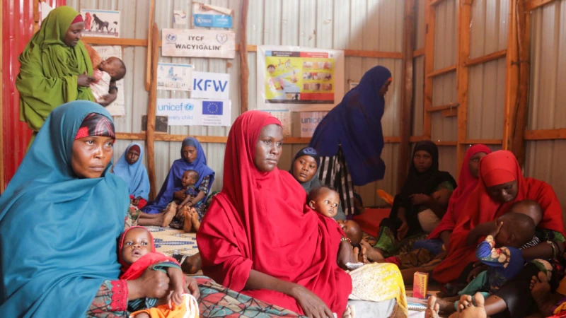 Somali Officials Issue Urgent Call for Aid to Curb Famine Deaths