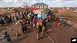 'So Many Children Dying': Somalia Drought Brings Famine Near