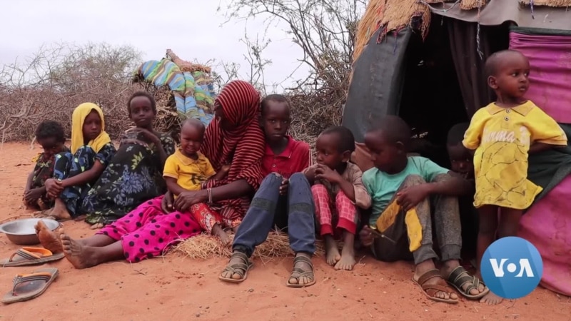 Kenyan Children’s Education Disrupted as Drought Forces Dropouts 