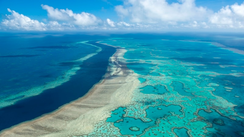 UN: Great Barrier Reef Should Be on Heritage 'Danger' List