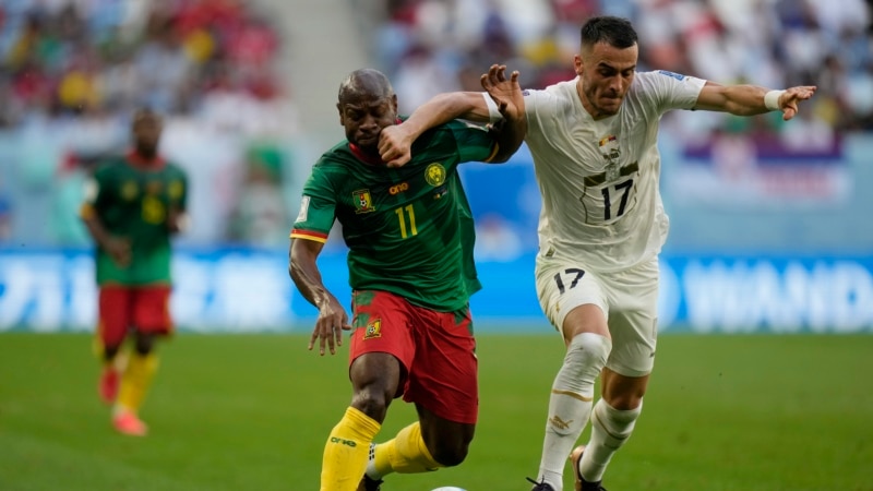 Cameroon, Serbia Draw in Goal-Filled Match