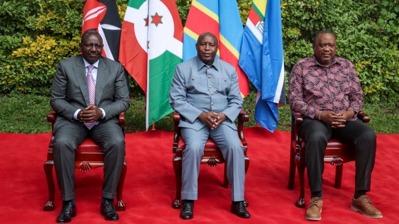 East African Nations Say DRC Needs Political Reform to Deal With Armed Groups