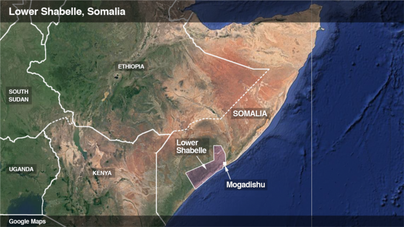 Somalia Joint Operation Kills 100 Al-Shabab Militants  