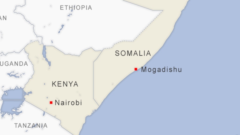 US Military Hits al-Shabab Extremists in Somalia