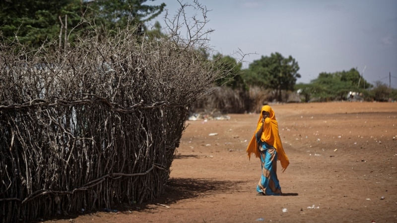 Thousands Flee Drought and Hunger in Somalia for Kenya