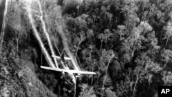 US Pays to Clean Up Agent Orange on Vietnam War Anniversary