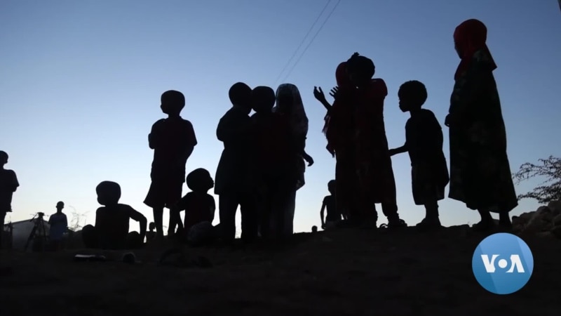 Drought Crisis in Somaliland Worsens Gender Based Violence for IDPs