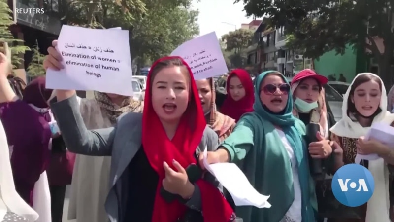 Afghans Protest Taliban Ban on Education for Women