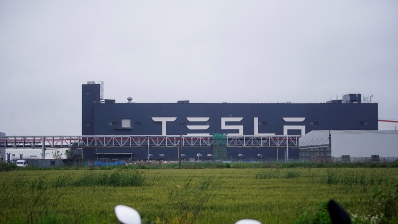 Tesla to Run Reduced Output in Shanghai in January, Plan Shows