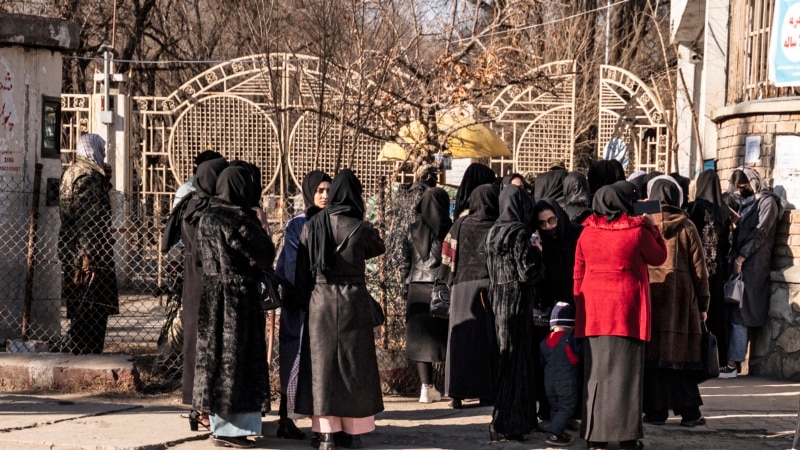 Taliban Order NGOs to Ban Female Employees