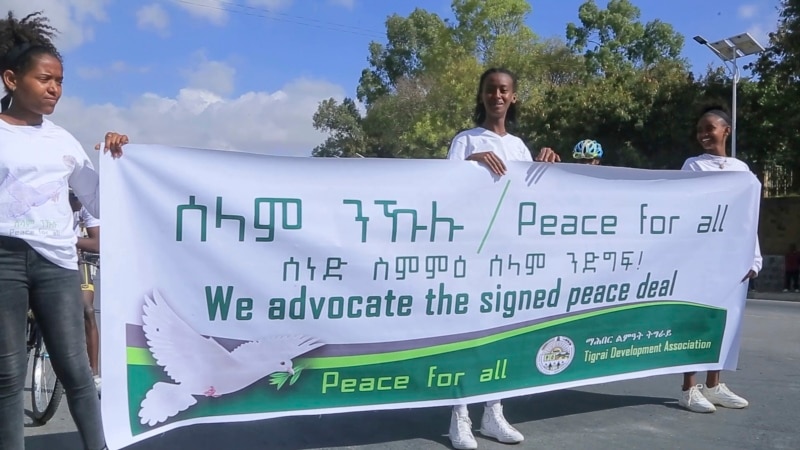 African Union Monitoring Team Visits Ethiopia's Tigray to Oversee Cease-Fire