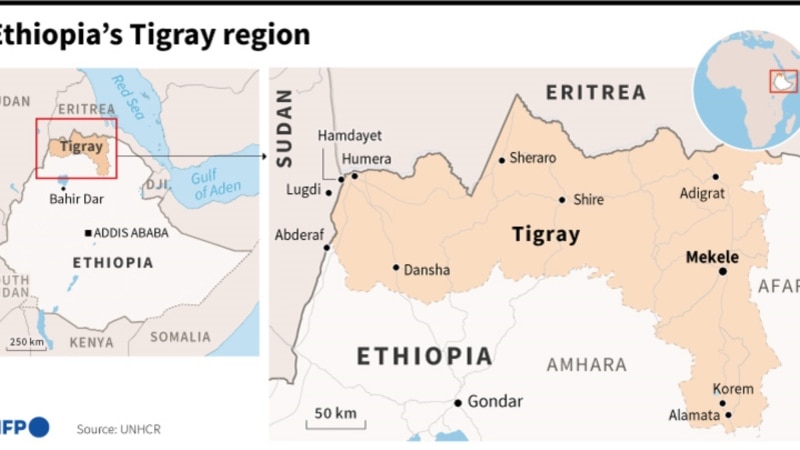 Rebel Commander Says 65% of Fighters Have 'Disengaged' From Tigray Frontlines 