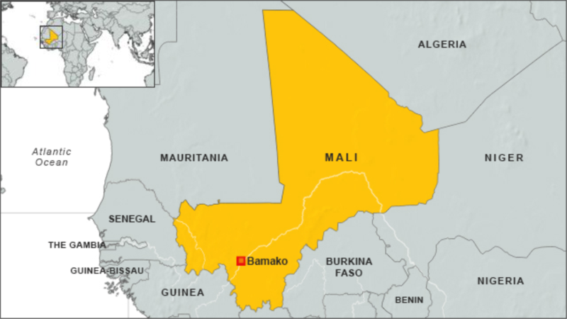 Six Malian Soldiers Killed in Attack, Says Army