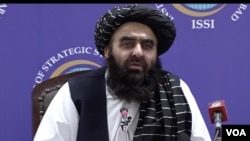 Taliban Diplomat Defends Policies, Insists Afghan Women Education Ban Not 'Permanent'  