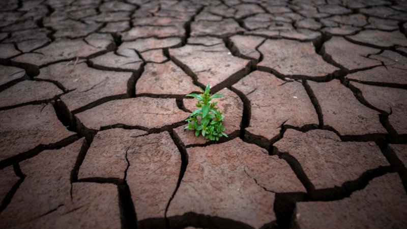 Spain Records Hottest, Driest April on Record 