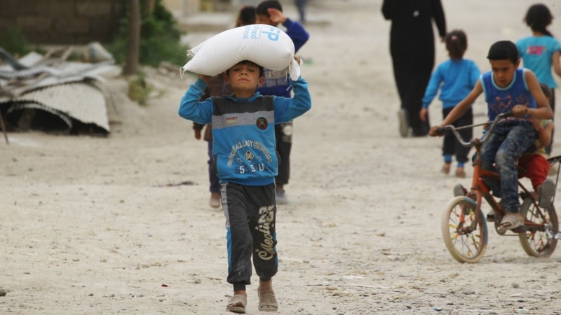 Cash-strapped World Food Program to Halve Aid to Needy Syrians