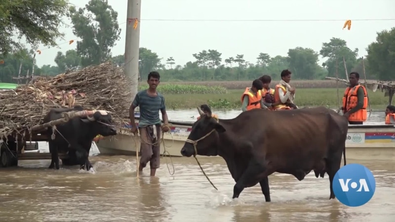 Heavy Rains in India Flood Pakistani Riverside Villages