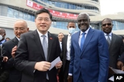 China and Wagner in Africa: Friends or Foes?