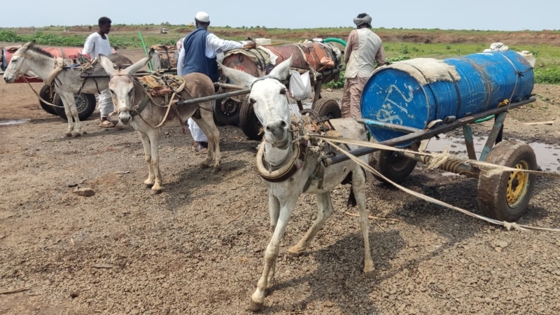 Fears Grow for Hundreds of Thousands as Sudan War Spreads