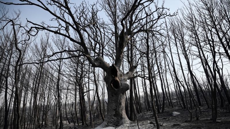 2 Arrested for Arson as Multiple Wildfires Burn Across Greece