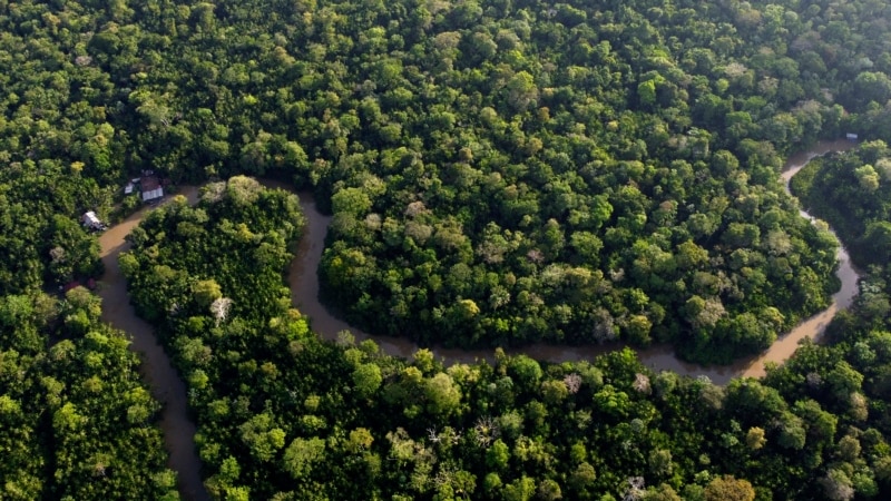 EU Steps in to Boost Amazon Rainforest Protection Plan