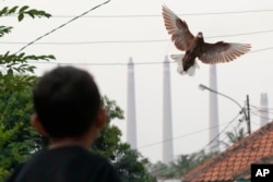 Coal Power, Traffic, Waste Burning Create Toxic Smog in Jakarta 