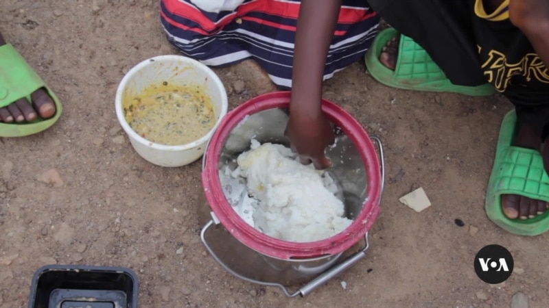 Advocates Call for Urgent Action to Avert Nigeria's Hunger Crisis