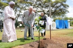 King Charles Honors African Veterans, Highlights Role of City Green Spaces 