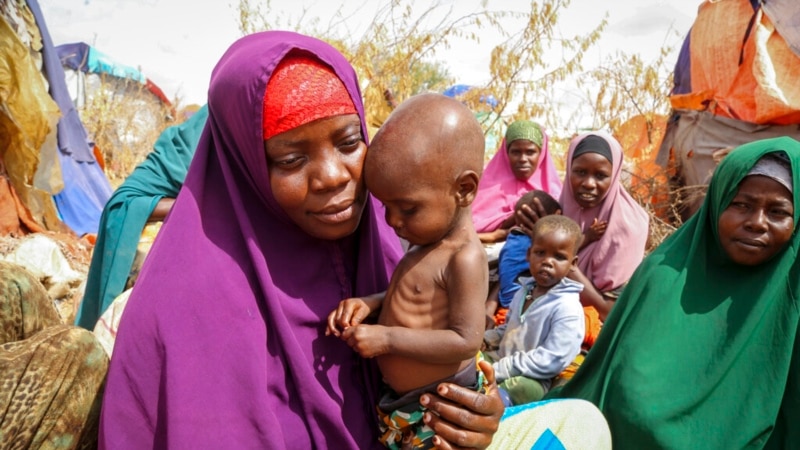 Climate Crises Drastically Increase Child Hunger, UK-Based Charity Says