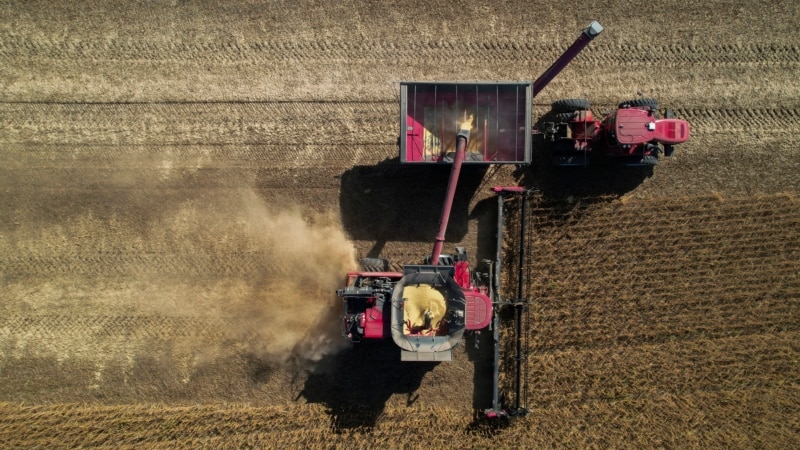 China Makes Largest US Soy Purchases in Months: Traders