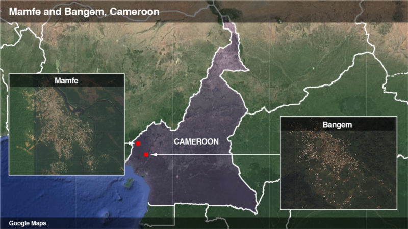 Local Official: Gunmen Kill at Least 20 in Pre-Dawn Attack in Cameroon