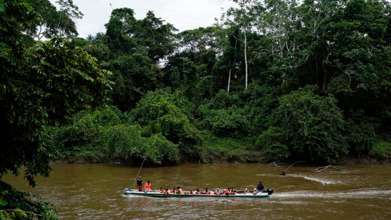 Hundreds of Migrants Face Sex Attacks in Darien Gap, Says MSF