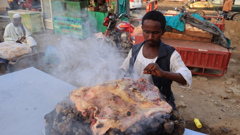 Conflict-Ridden Sudan Facing Looming Hunger Catastrophe