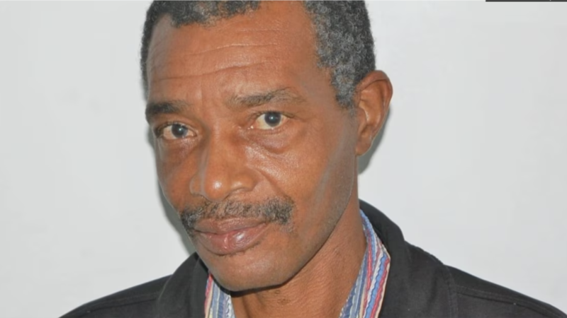 Prominent Journalist Killed in Mozambique