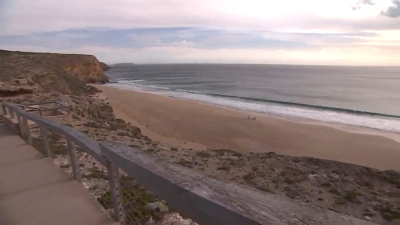 Surfer, 15, Dies in South Australia State's Third Fatal Shark Attack Since May