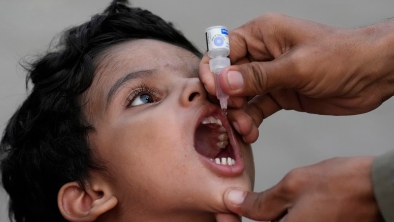 WHO Points to Risks Facing Anti-Polio Gains in Pakistan, Afghanistan