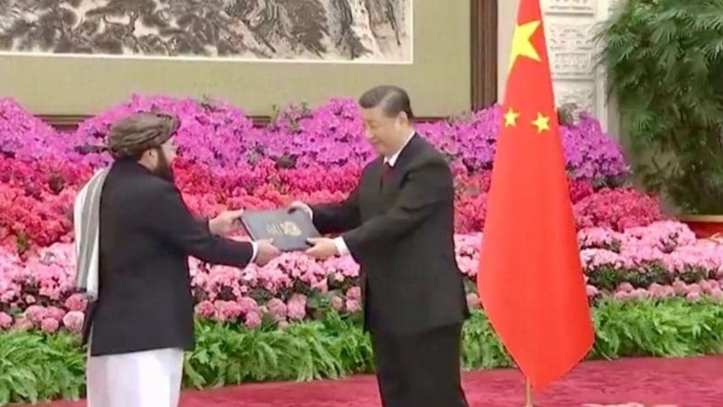 China's President Receives Afghan Ambassador; Taliban Seek Recognition From Russia, Iran