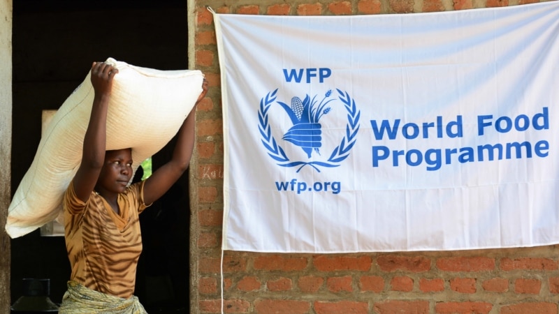 Malawi’s Maize Import Ban Forces WFP to Mill Grain From Tanzania