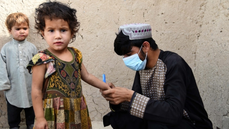 Taliban Minister Boasts Afghan Anti-Polio Gains While Addressing Global Health Huddle  